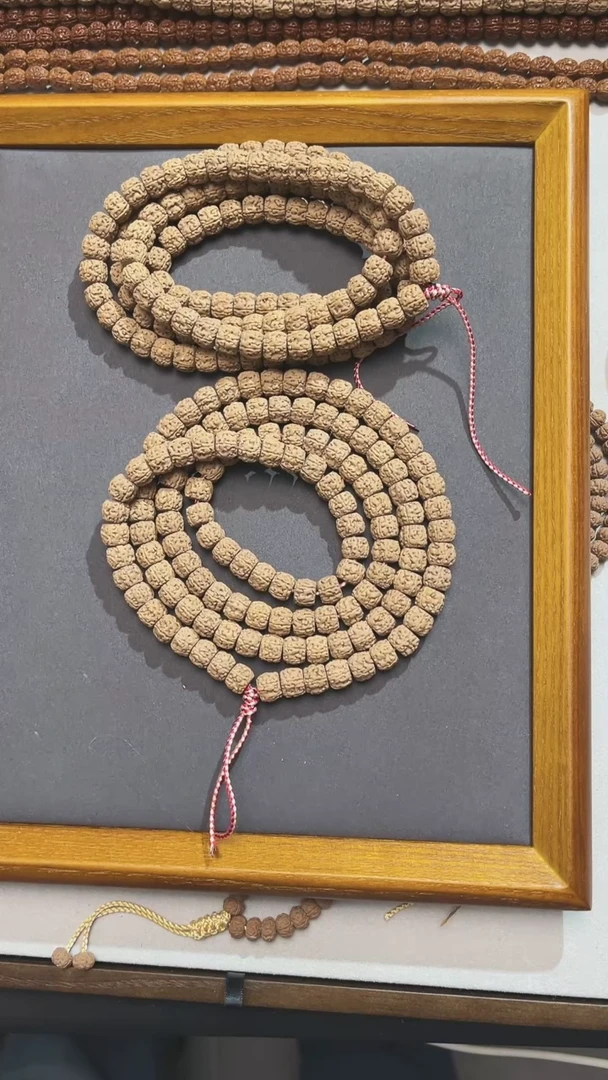 【闪购商品】金刚菩提手串龙切一代盘龙108   10mm