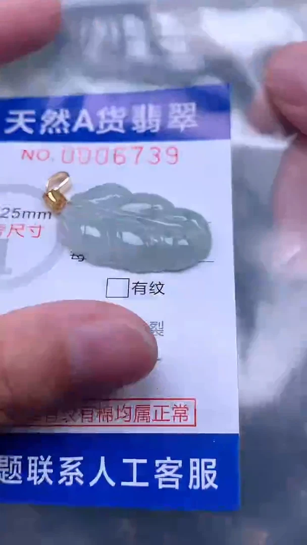 翡翠未镶嵌吊坠(不含链)1