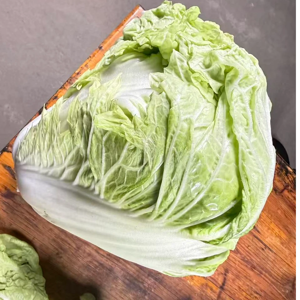 农家自种大白菜打霜之后自家