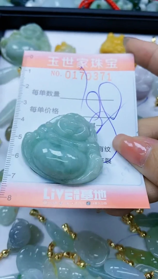 【闪购商品】翡翠颈饰未镶嵌闪购0170371