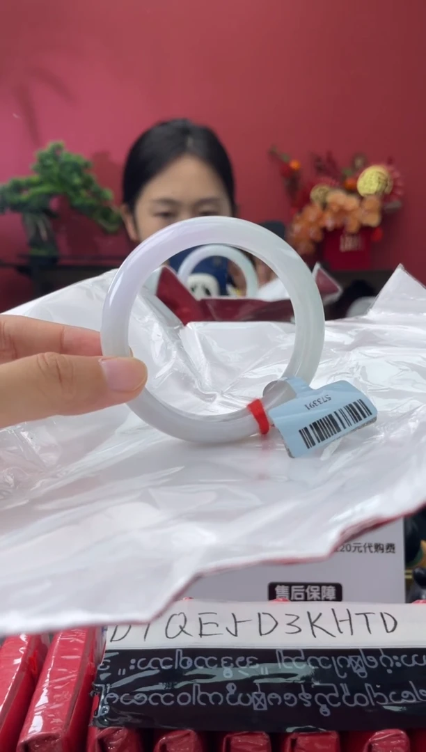 未镶嵌手镯翡翠4