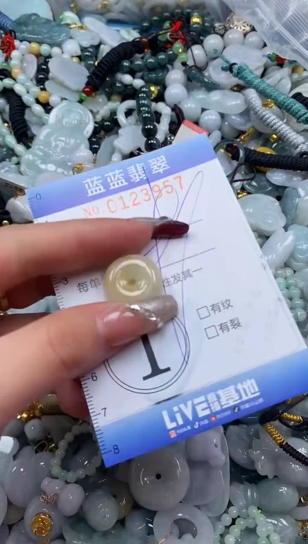 【闪购商品】翡翠颈饰未镶嵌闪购0123957多样性发其一
