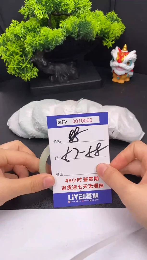 未镶嵌手镯翡翠001000