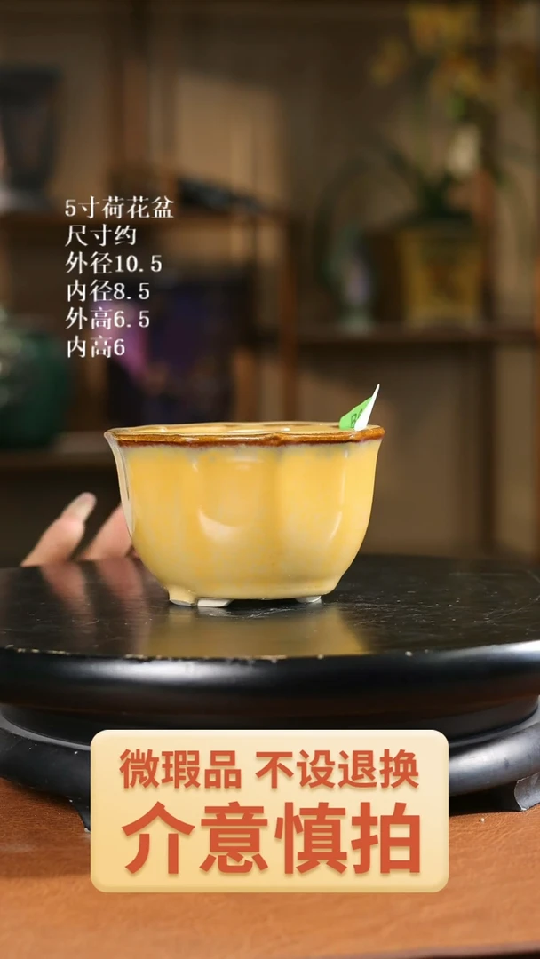 5寸荷花盆   644