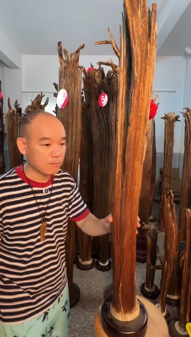 沉香碎屑沉香凤*羽沉香原料6