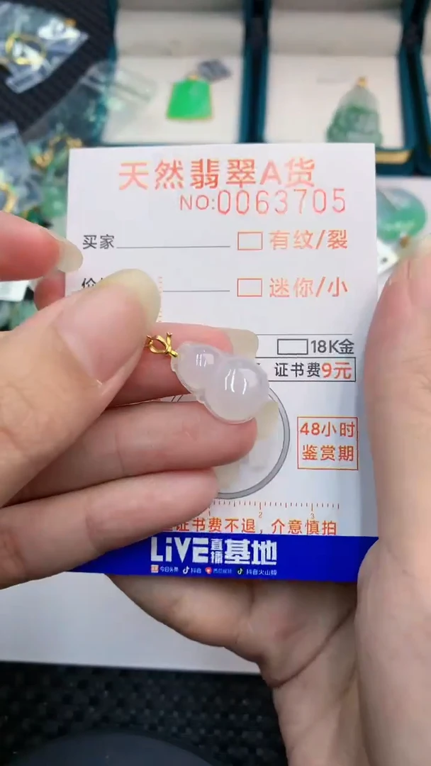 【闪购商品】翡翠颈饰18K金镶嵌            8
