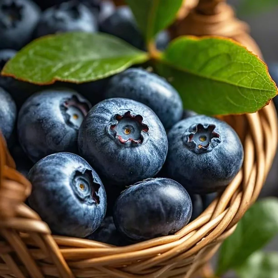 4盒【佳沃14+蓝莓】纯甜 ，又脆又甜，单盒125g