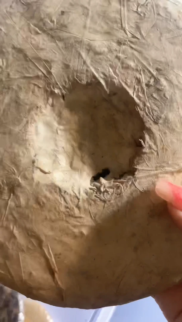 【闪购商品】瓷片0000000000000000000