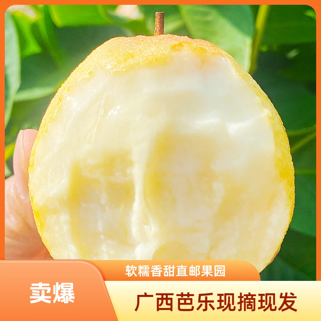 【树上熟】广西树上熟白心软芭乐奶油番石榴芭乐白心软糯香甜芭乐果