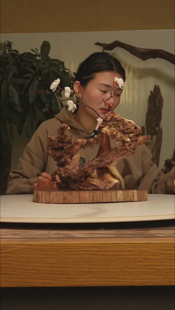 木骗***狗金丝红木240