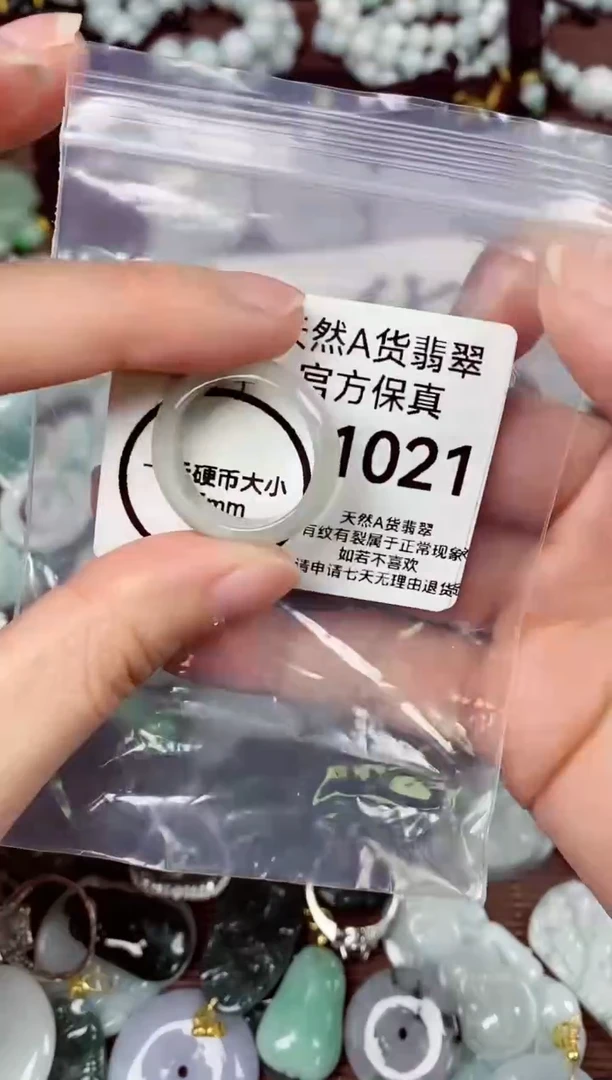 【闪购商品】翡翠颈饰未镶嵌天然A货翡翠1021