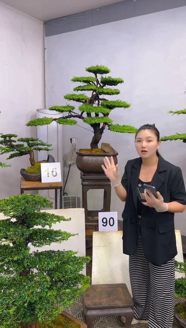 无花朵一物一拍一物一拍