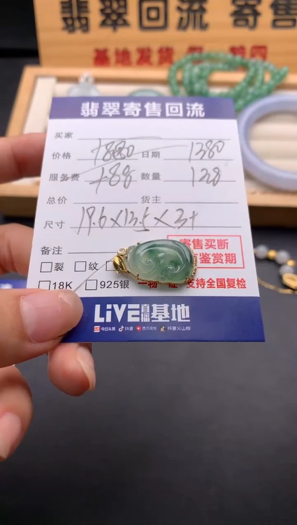 翡翠18K金镶嵌颈饰10137199