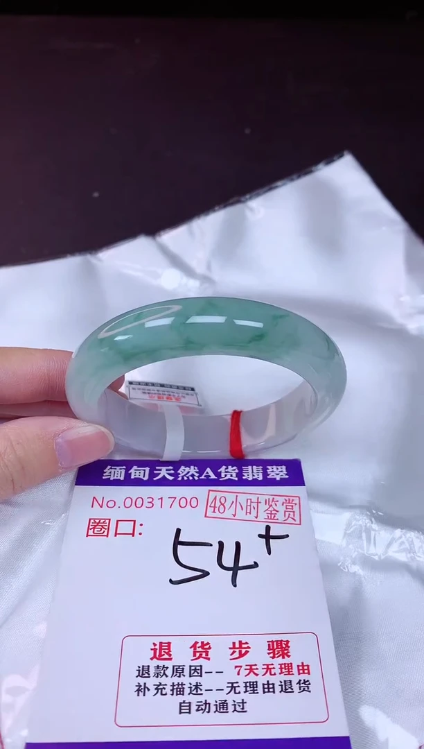 未镶嵌手镯翡翠54（48小时鉴赏期 ）