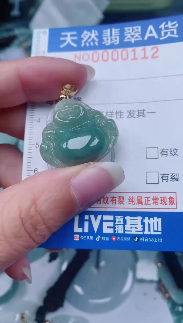 颈饰未镶嵌翡翠00000112