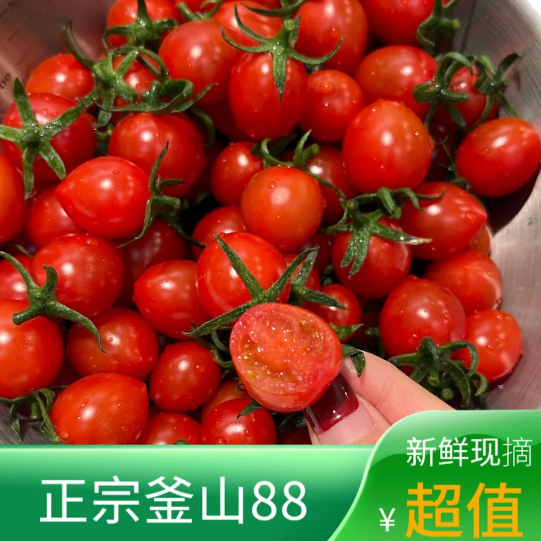 山东正宗釜山88小番茄当季水果包邮圣女果千禧果超甜爆汁