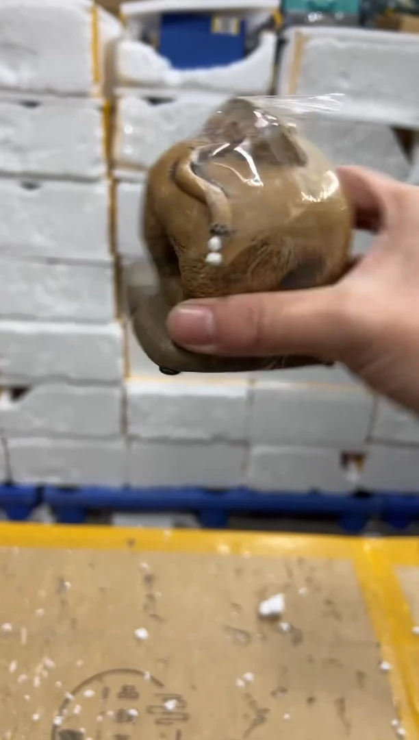 【闪购商品】其他其他其他其他其他