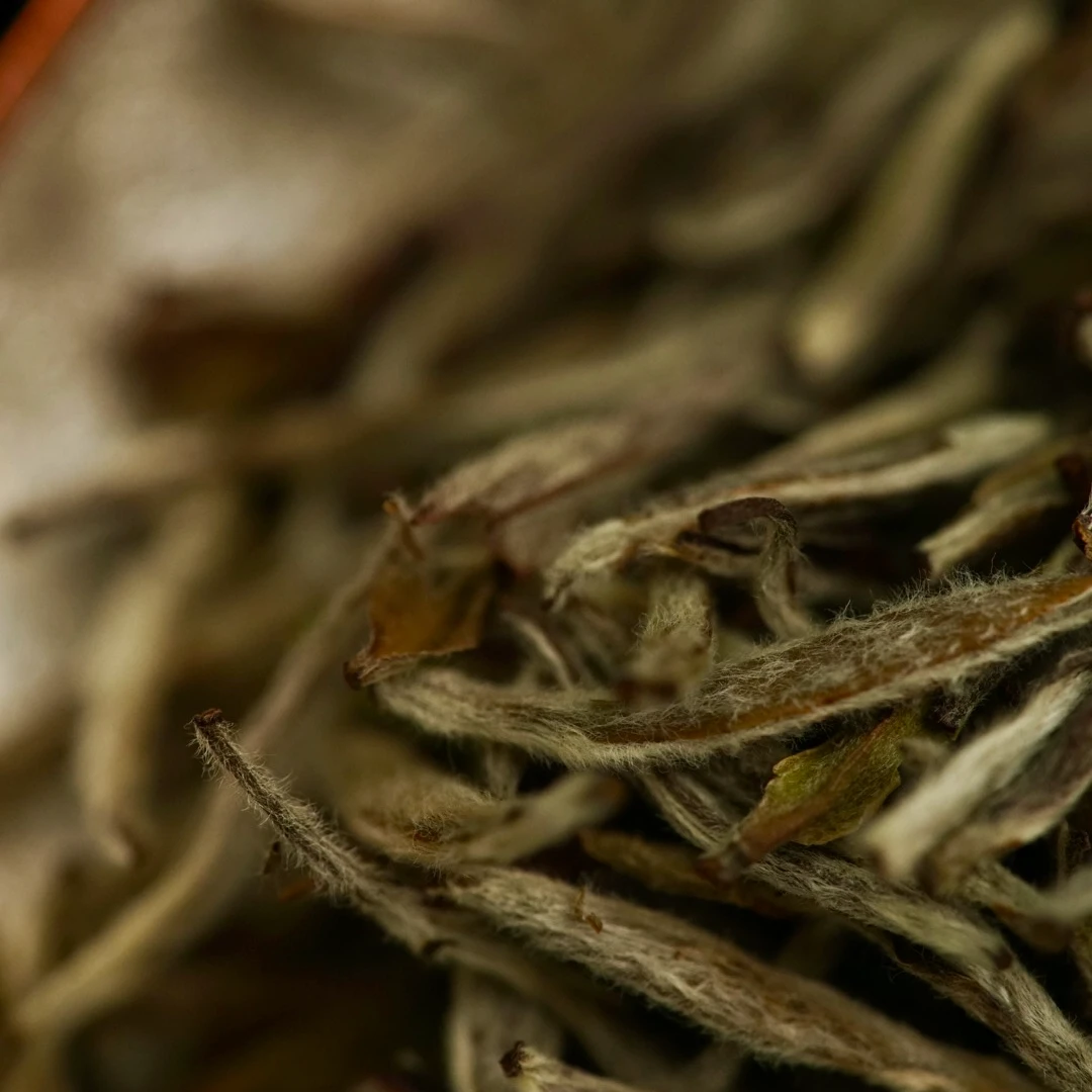 柒月严选—年度福利，茶叶茶器