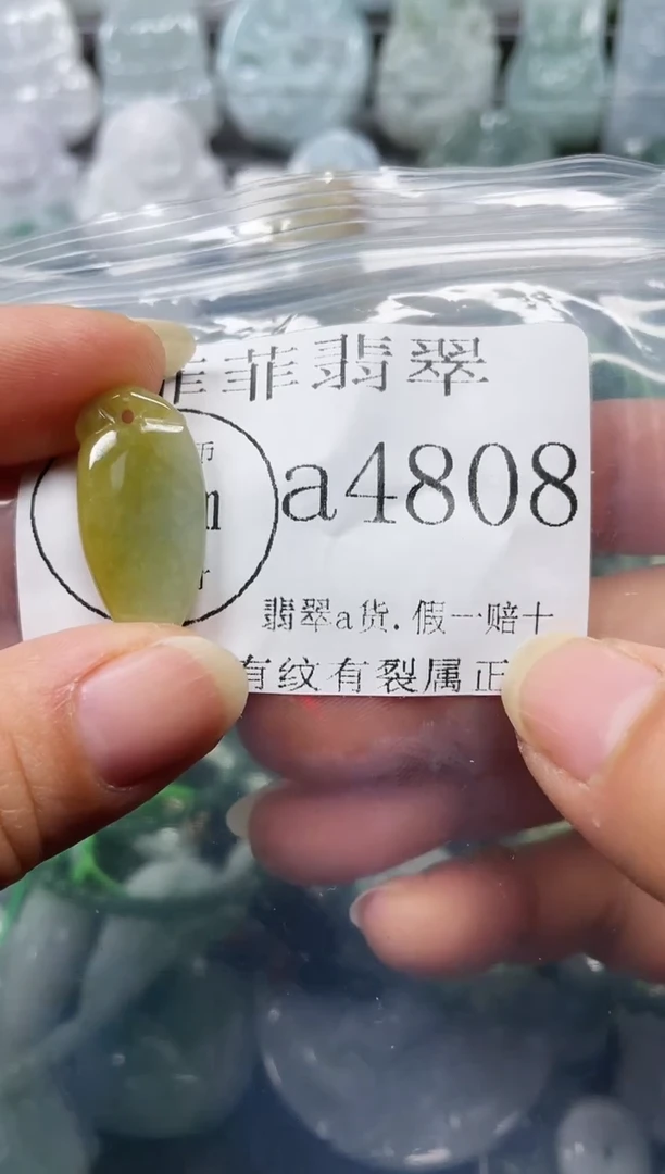 【闪购商品】翡翠颈饰未镶嵌闪购4808