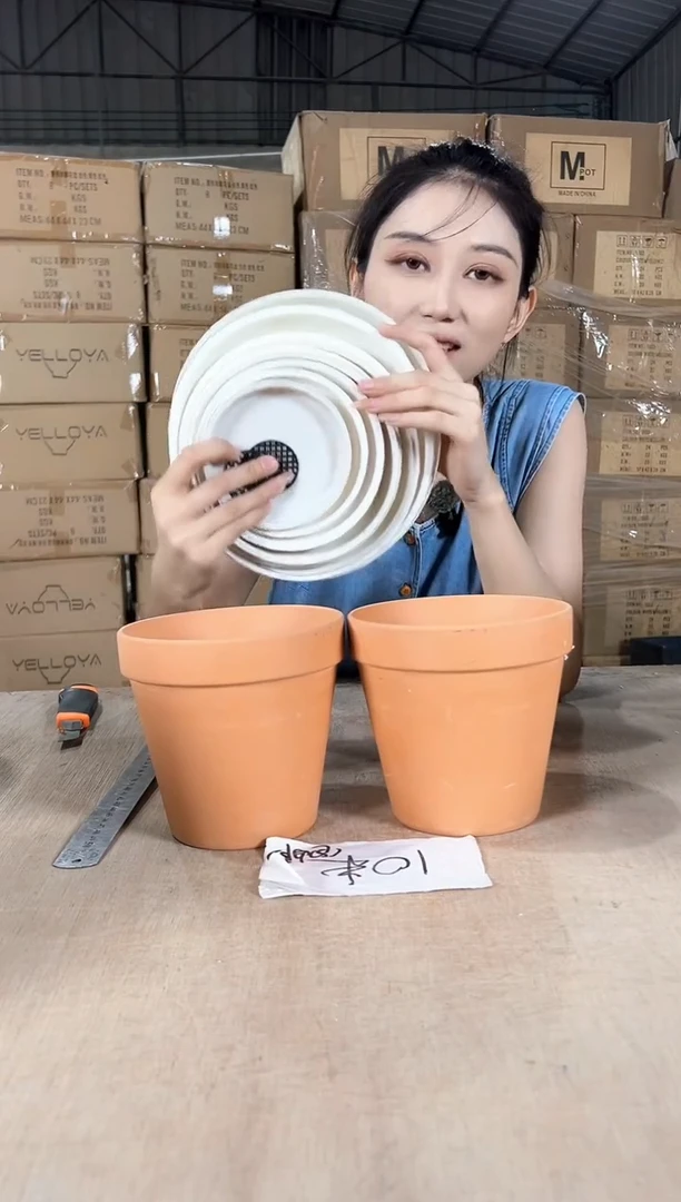 两个红陶红陶3号15x14