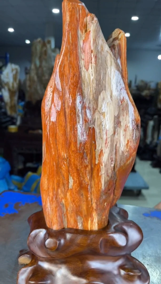 未镶嵌摆件硅化玉11