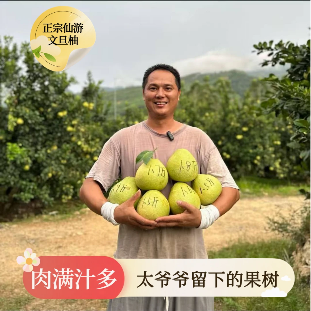 福建仙游度尾文旦柚正宗10斤包邮孕妇水果福建红心蜜柚整箱水果