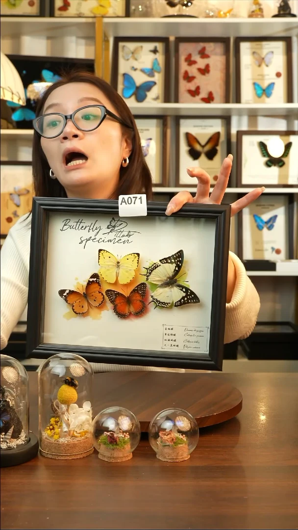 四色蝴蝶组合（10寸欧式黑框）A071