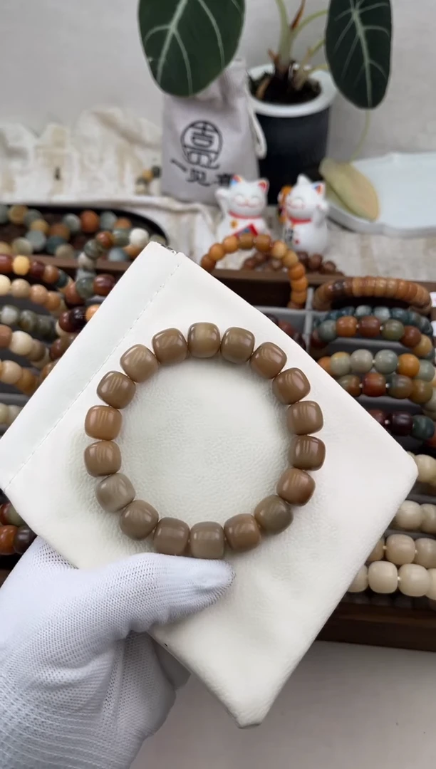 菩提根/象牙果手串a248卡13 干磨微瑕