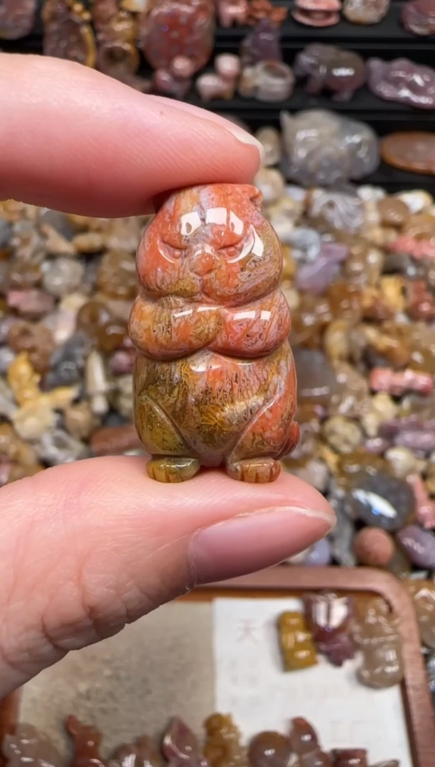 颈饰未镶嵌硅化珊瑚（珊瑚玉）360