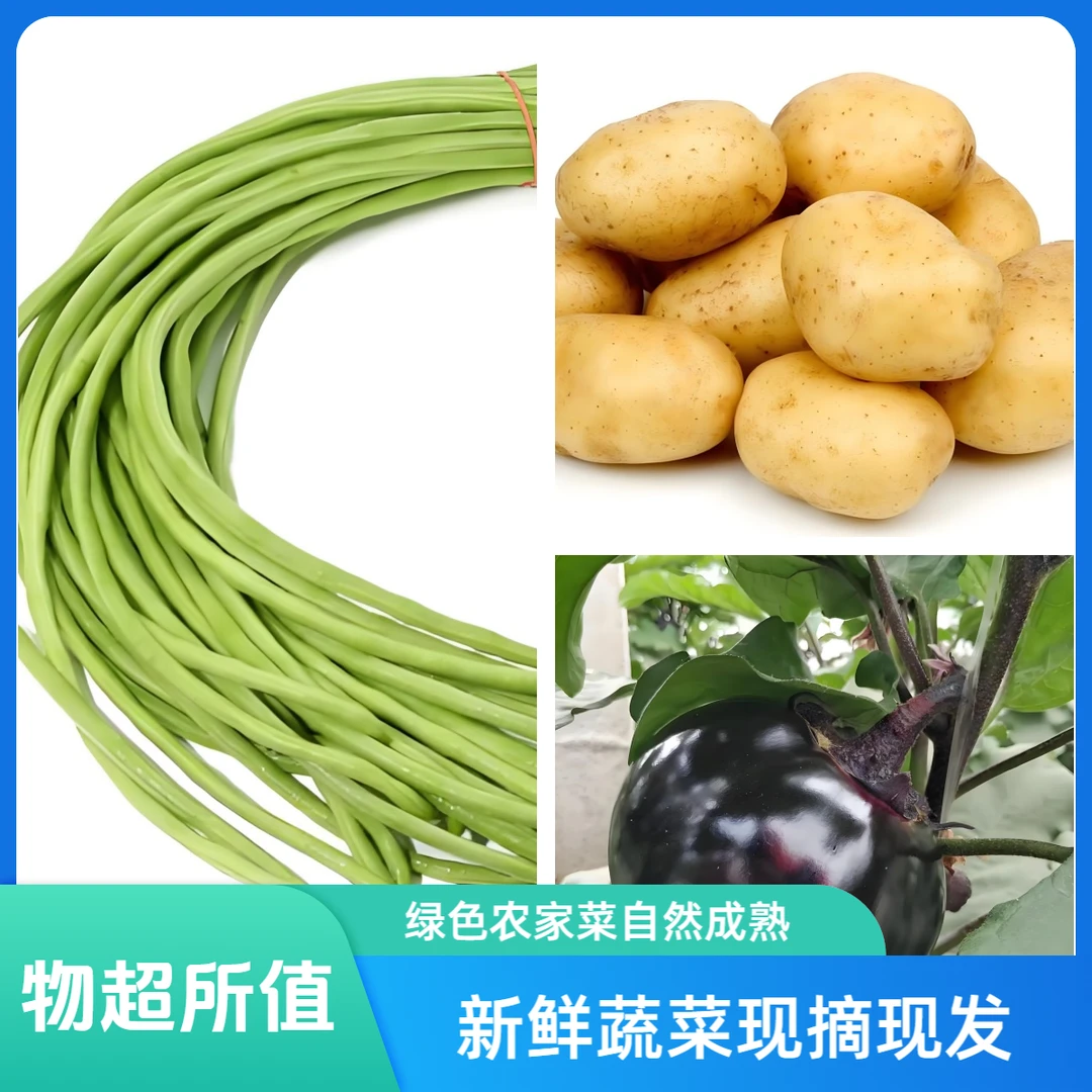 【津园生鲜】组合装、茄子1个+1斤豇豆+1斤土豆、共3斤顺丰送货上门新鲜蔬菜