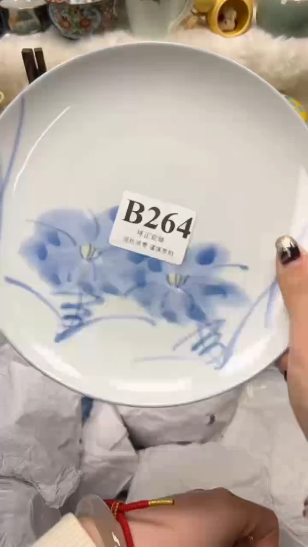 【闪购商品】瓷片          B264