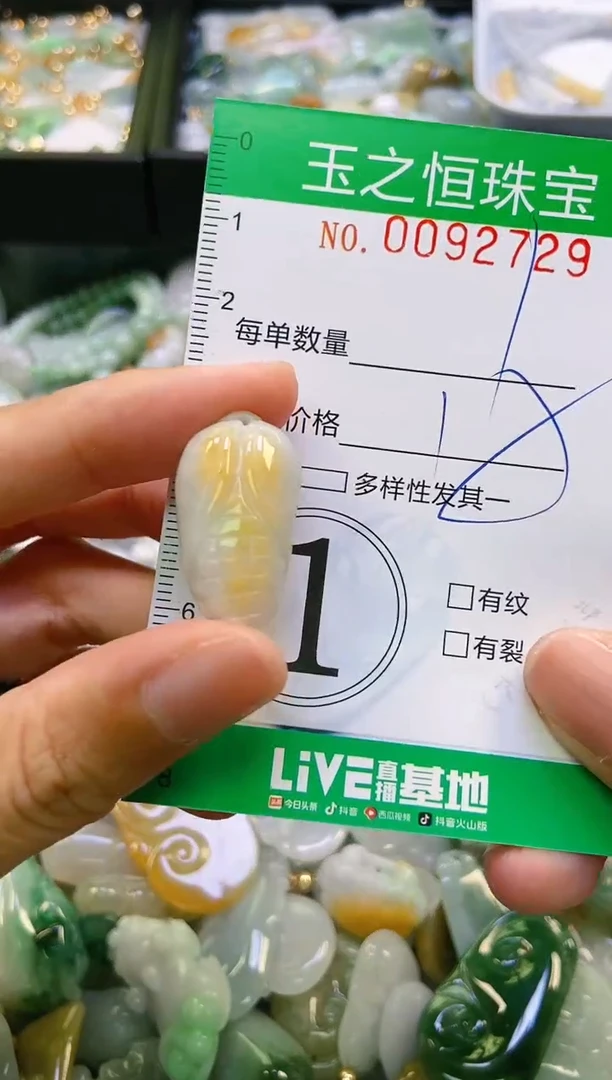 翡翠未镶嵌颈饰闪购0092729