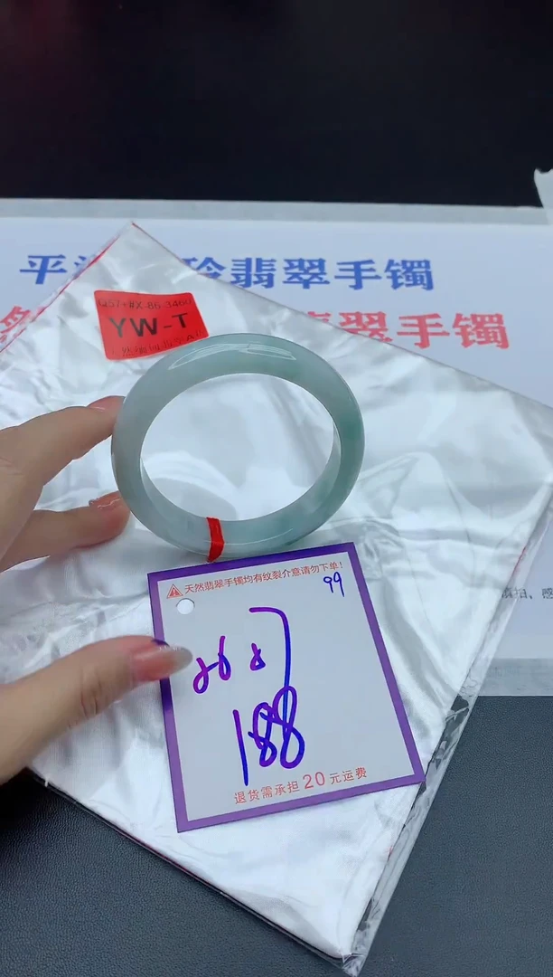 未镶嵌手镯翡翠111111111111111