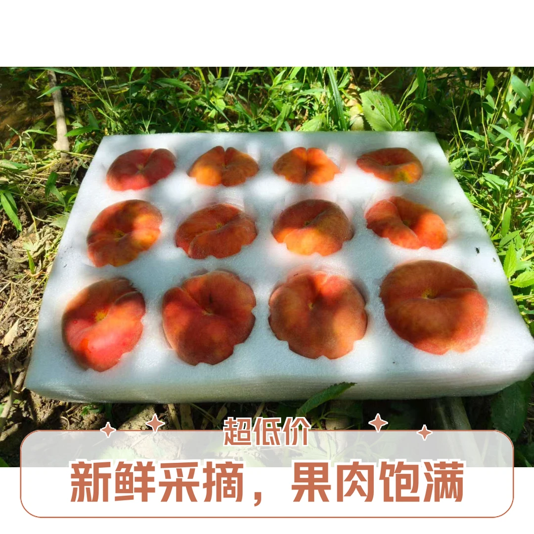 宜阳不一样农家自种上观毛蟠桃 脆甜 时令水果（12枚）