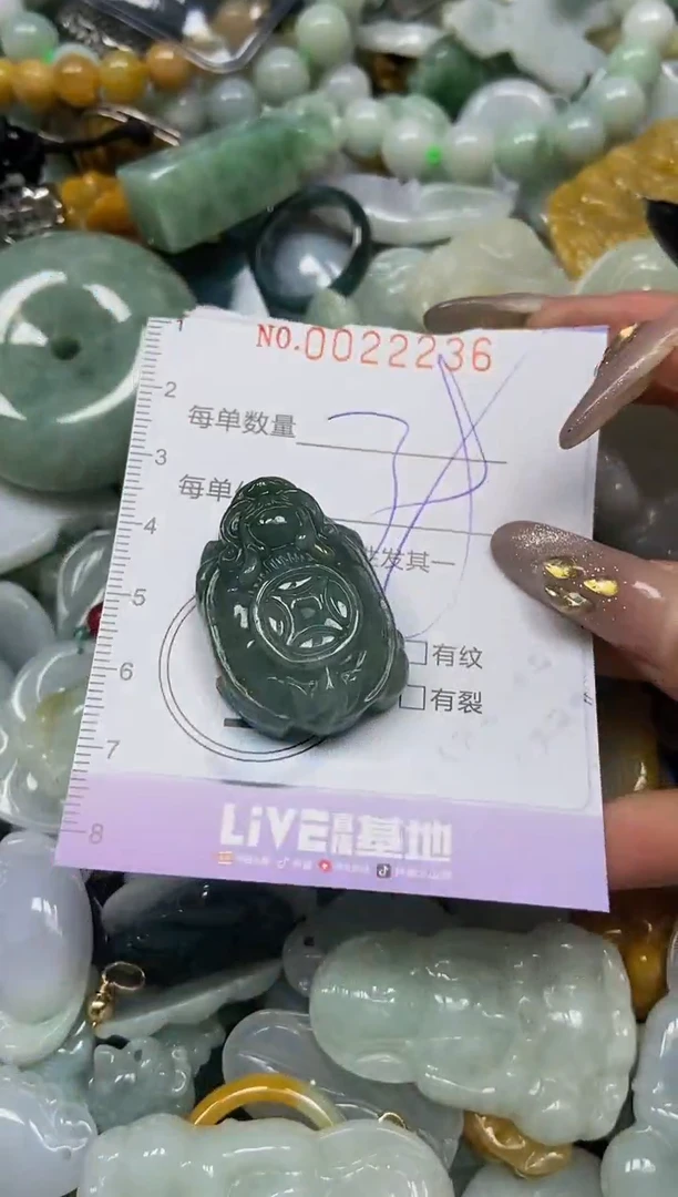 【闪购商品】翡翠颈饰未镶嵌闪购0022236