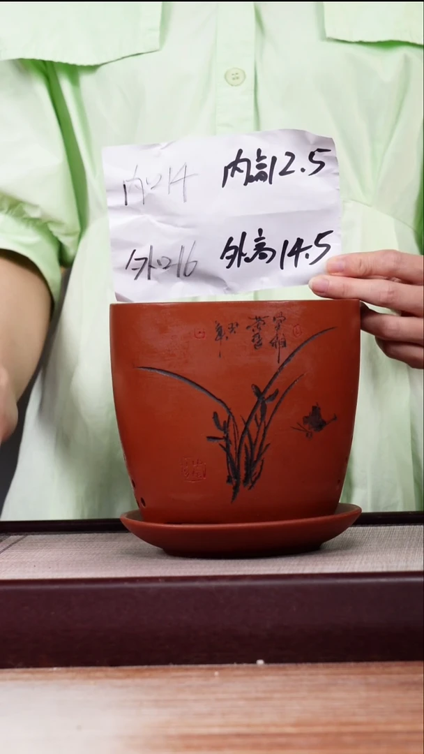 紫砂花盆清水泥君子兰2号一只带托