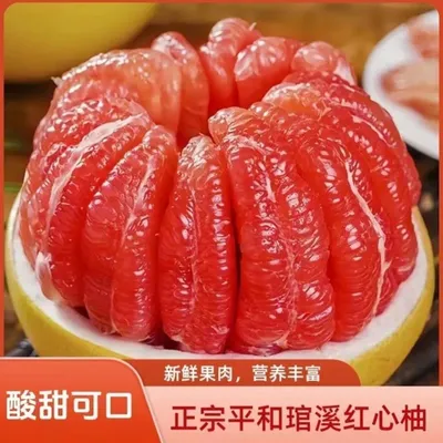 正宗福建平和琯溪三红蜜柚当季水果坏果包赔（送开果器）多仓发货