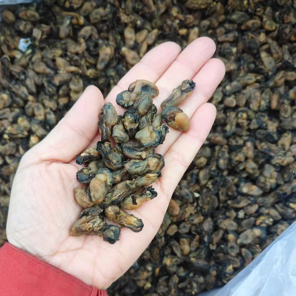 福建闽南特产海蛎干牡蛎干生蚝干无沙煲粥宝宝辅食海产干味