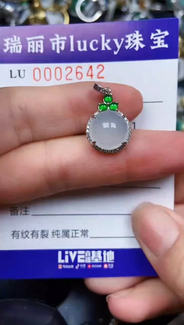 翡翠银S925镶嵌颈饰2642