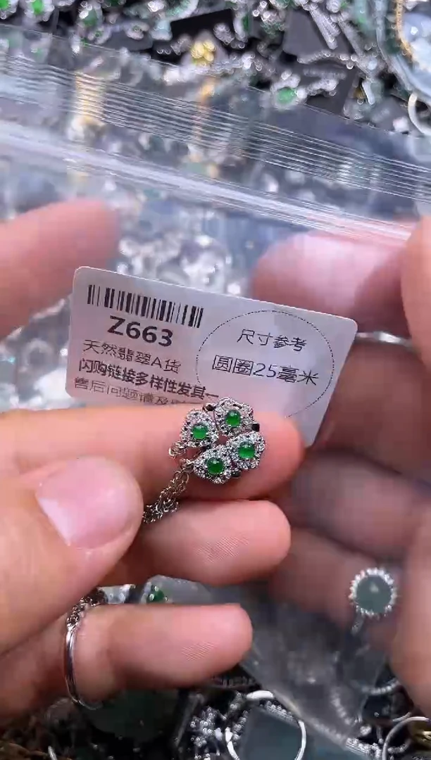 【闪购商品】翡翠颈饰未镶嵌Z663项链
