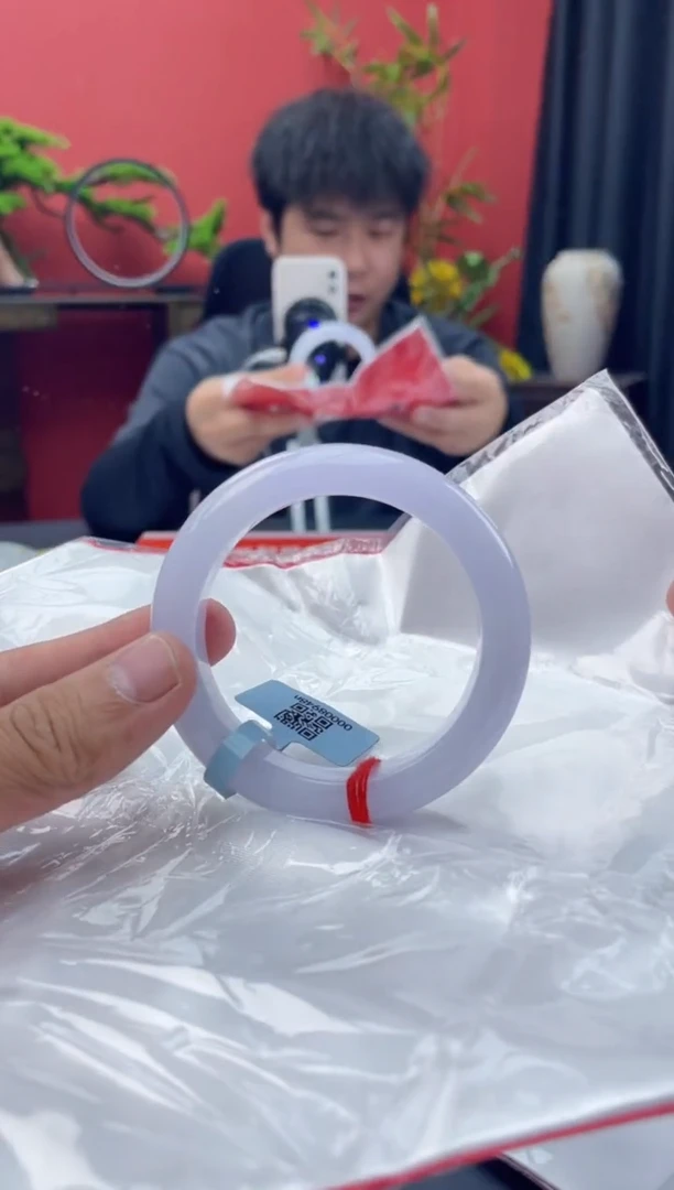 未镶嵌手镯翡翠2