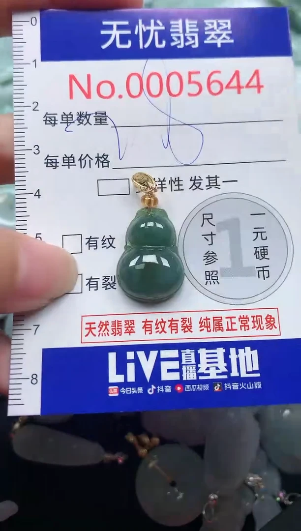 颈饰未镶嵌翡翠5644