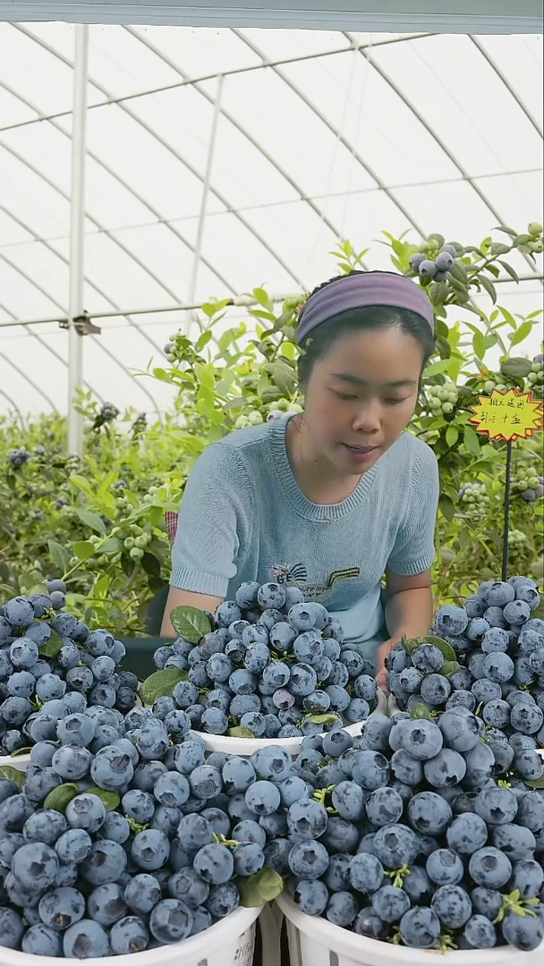 薄雾脆甜爆汁，宝妈孕妈首选