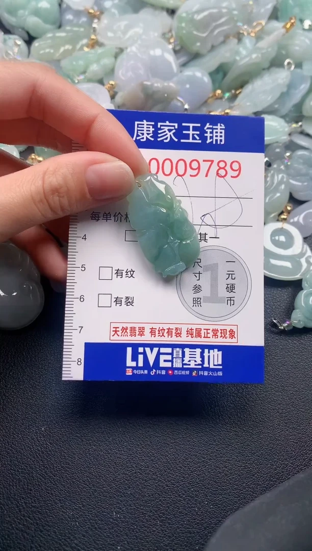 颈饰未镶嵌翡翠9789