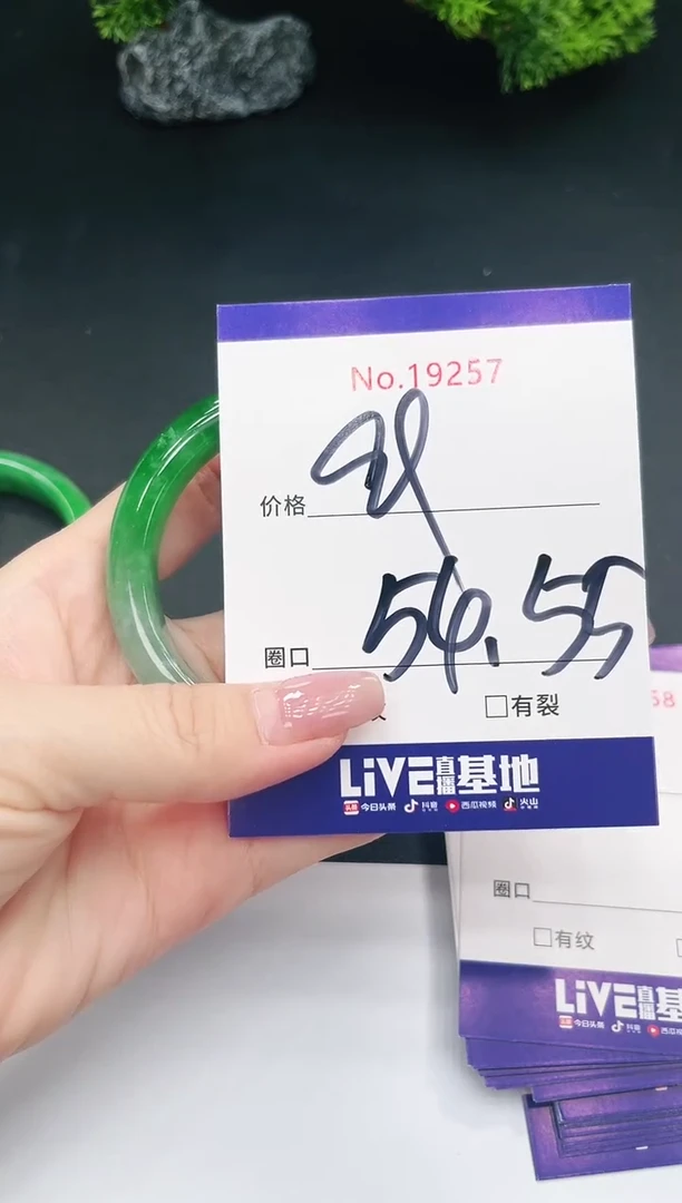 未镶嵌手镯翡翠19257