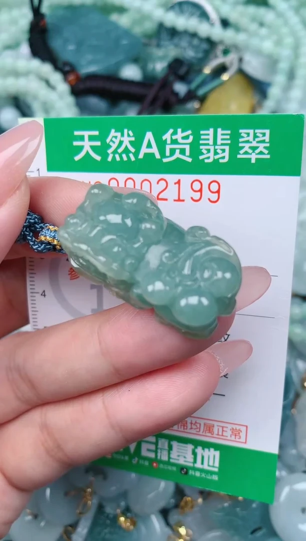 翡翠未镶嵌颈饰.0002199