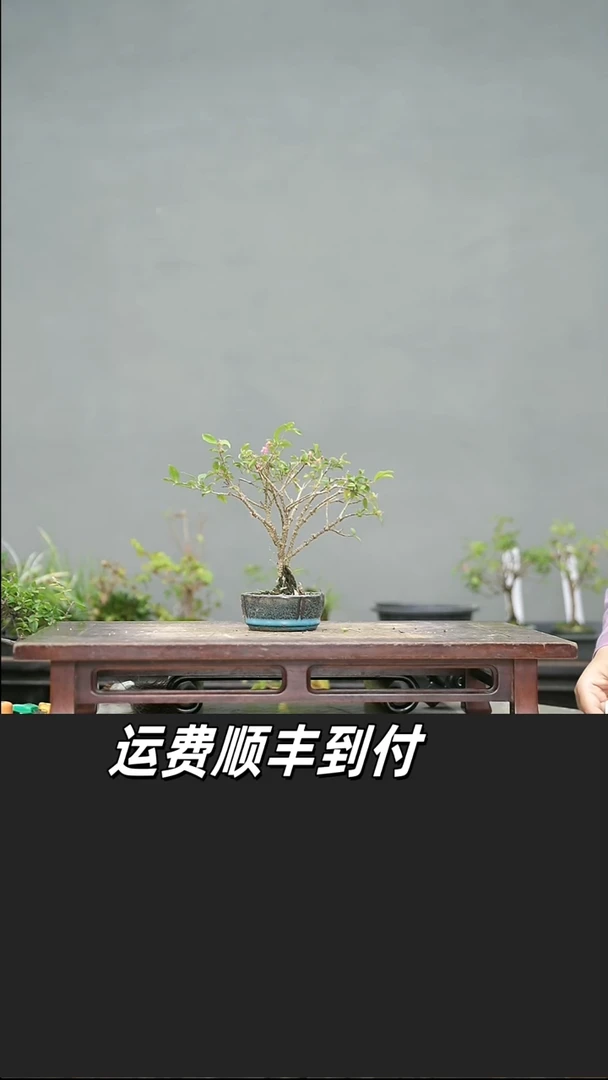 星**达32
