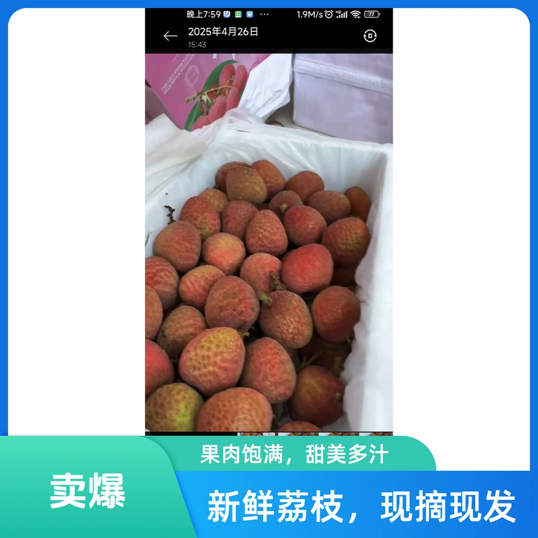 海南 荔枝一箱 g海南省