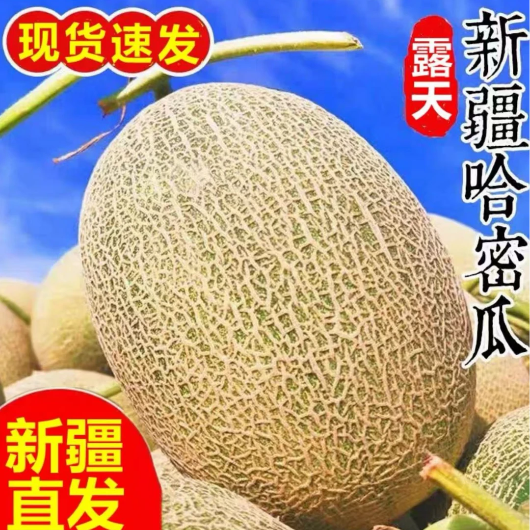 【新疆直发】正宗新疆吐鲁番火焰山西州蜜25号哈密瓜
