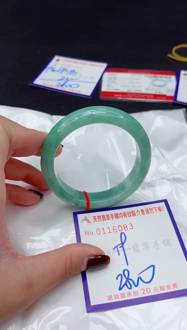 未镶嵌手镯翡翠1111111